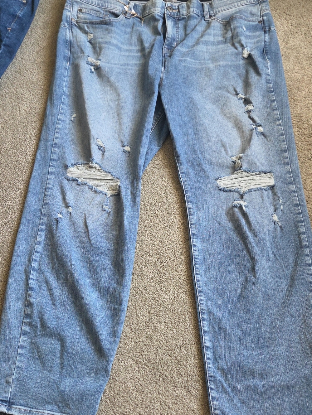 torrid Light Blue Denim Jeans with Black Waistband